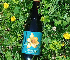 Il vino biologico secondo Ca’ Dorale